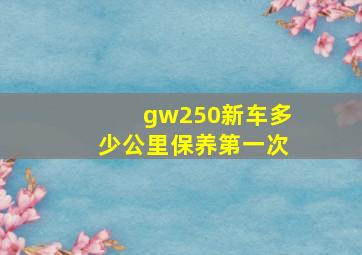 gw250新车多少公里保养第一次