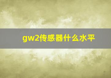 gw2传感器什么水平