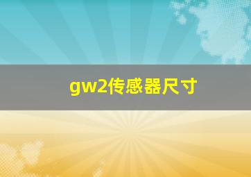 gw2传感器尺寸