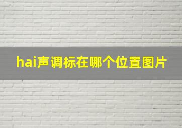 hai声调标在哪个位置图片