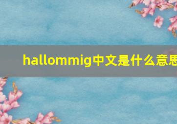 hallommig中文是什么意思