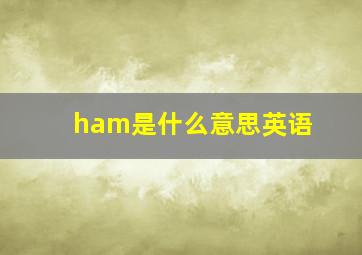 ham是什么意思英语