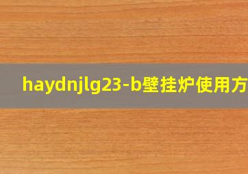 haydnjlg23-b壁挂炉使用方法