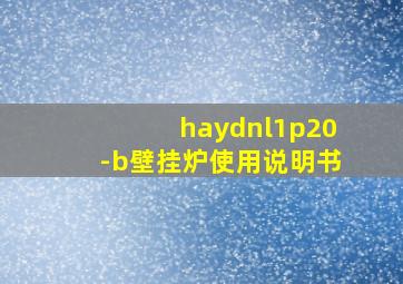 haydnl1p20-b壁挂炉使用说明书