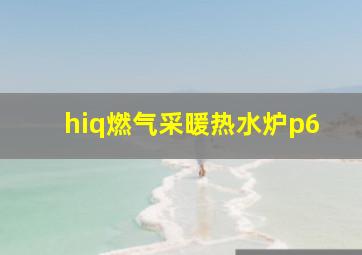 hiq燃气采暖热水炉p6