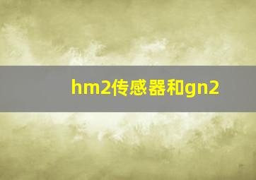 hm2传感器和gn2