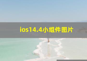 ios14.4小组件图片