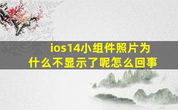 ios14小组件照片为什么不显示了呢怎么回事