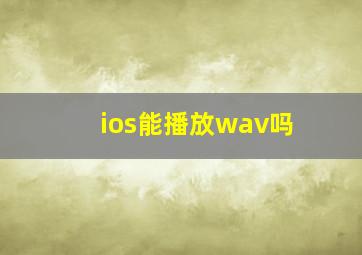 ios能播放wav吗