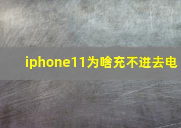 iphone11为啥充不进去电