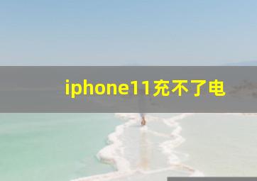 iphone11充不了电