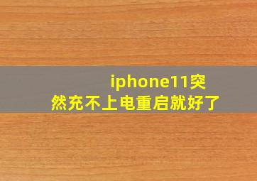 iphone11突然充不上电重启就好了