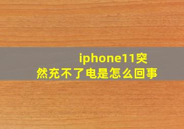 iphone11突然充不了电是怎么回事