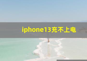 iphone13充不上电