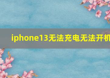 iphone13无法充电无法开机