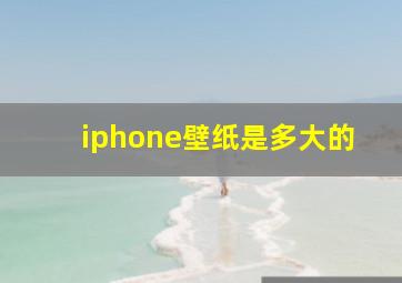 iphone壁纸是多大的