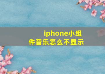 iphone小组件音乐怎么不显示