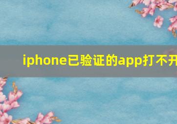 iphone已验证的app打不开