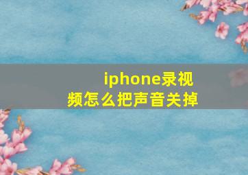 iphone录视频怎么把声音关掉