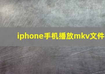 iphone手机播放mkv文件