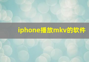 iphone播放mkv的软件