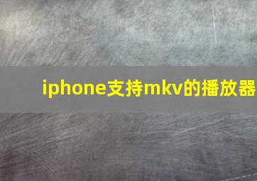 iphone支持mkv的播放器