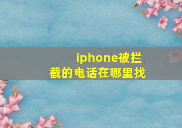 iphone被拦截的电话在哪里找