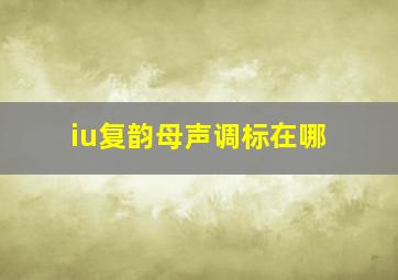 iu复韵母声调标在哪