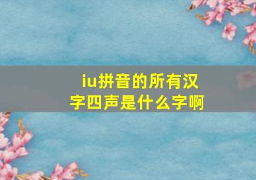 iu拼音的所有汉字四声是什么字啊