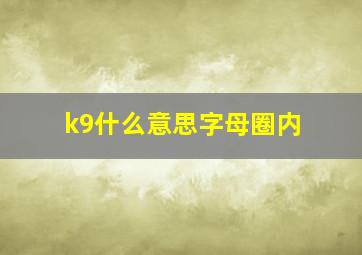 k9什么意思字母圈内