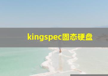 kingspec固态硬盘