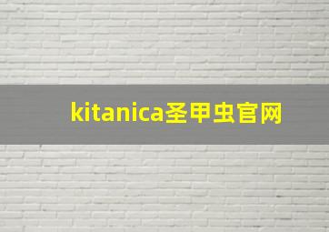 kitanica圣甲虫官网