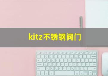 kitz不锈钢阀门