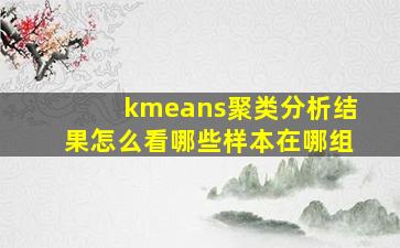 kmeans聚类分析结果怎么看哪些样本在哪组