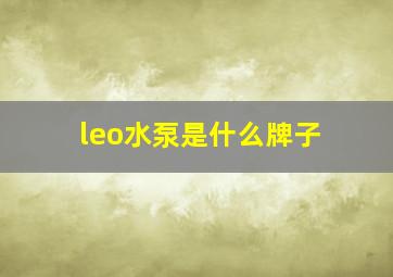 leo水泵是什么牌子