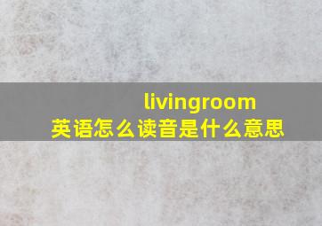 livingroom英语怎么读音是什么意思