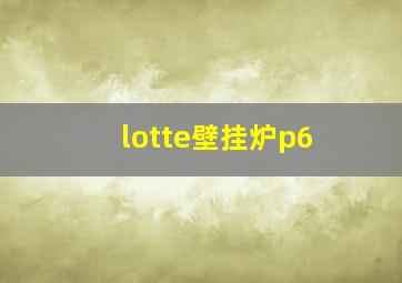 lotte壁挂炉p6