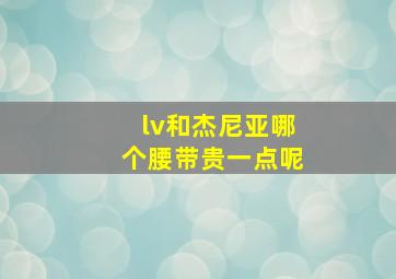 lv和杰尼亚哪个腰带贵一点呢