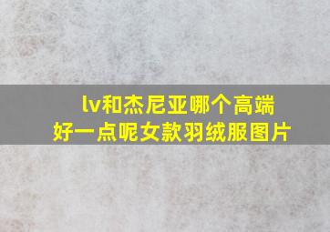 lv和杰尼亚哪个高端好一点呢女款羽绒服图片