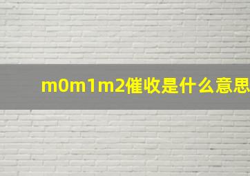 m0m1m2催收是什么意思