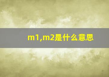 m1,m2是什么意思