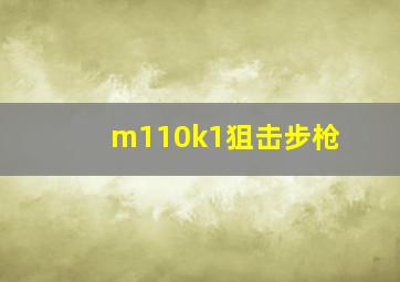 m110k1狙击步枪