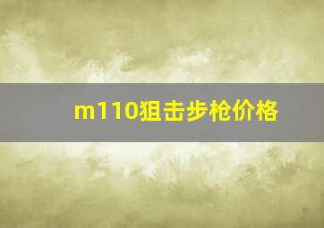 m110狙击步枪价格