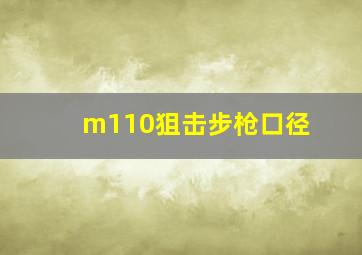 m110狙击步枪口径