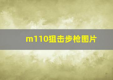 m110狙击步枪图片