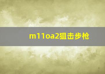 m11oa2狙击步枪