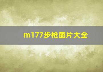 m177步枪图片大全