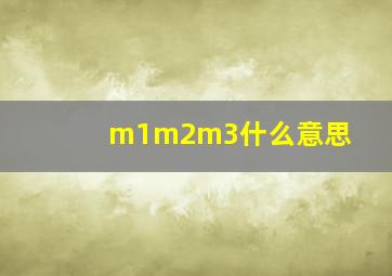 m1m2m3什么意思