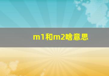 m1和m2啥意思