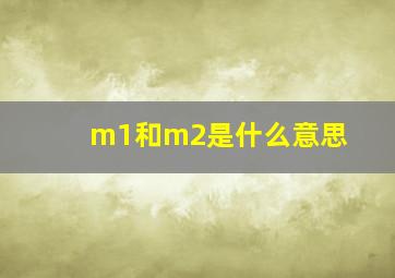 m1和m2是什么意思